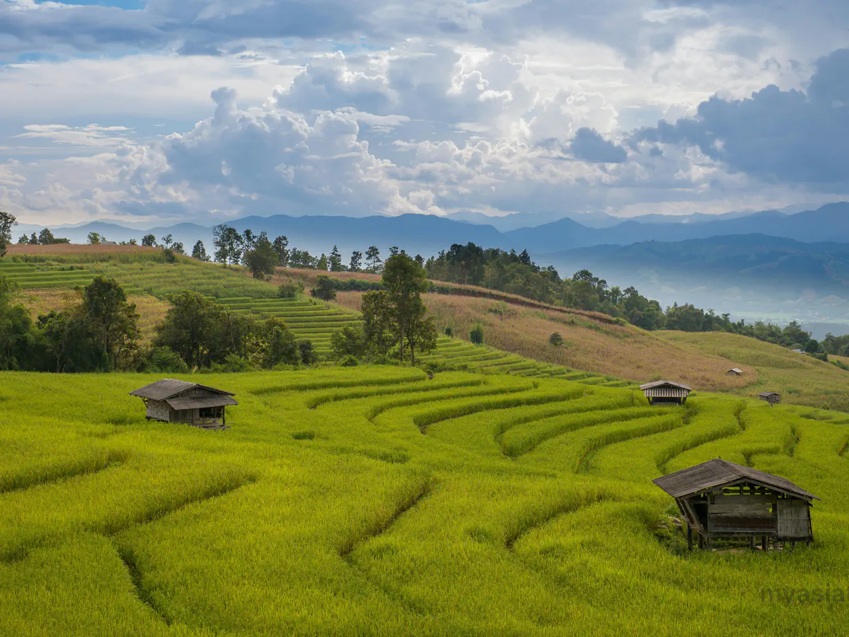 Chiang Mai to Pai: Minivan, Private Transfer or Self-Drive