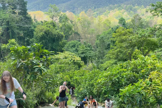 Travelers climbing the pale limestone tiers of Bua Tong Sticky Waterfall