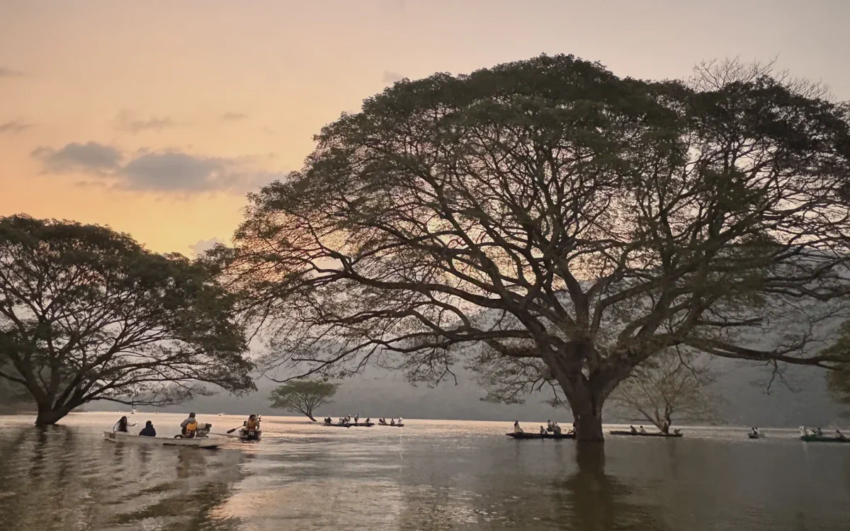 Best Things to Do in Chiang Mai