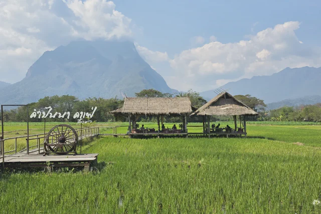 Green rice fields and mountain shelters outside Chiang Mai