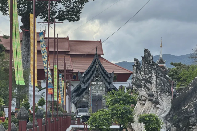 Northern Thai temple roofs framed by trees in Chiang Mai