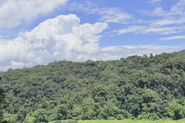 Green valley and mountain ridges outside Chiang Mai