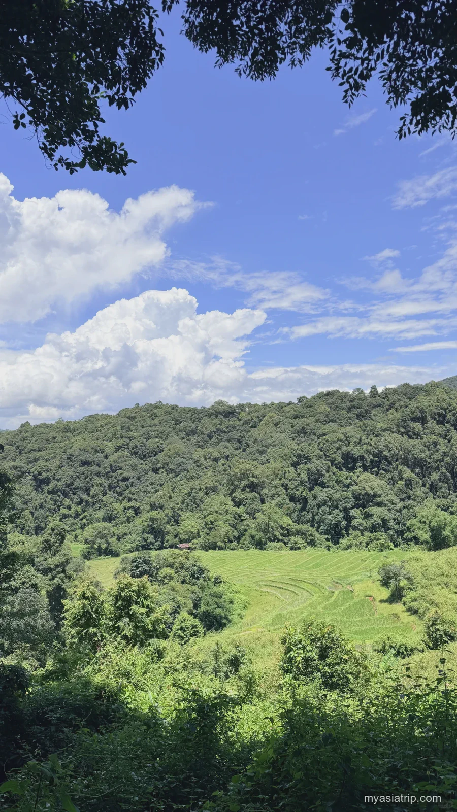 Forested mountain valley in northern Thailand
