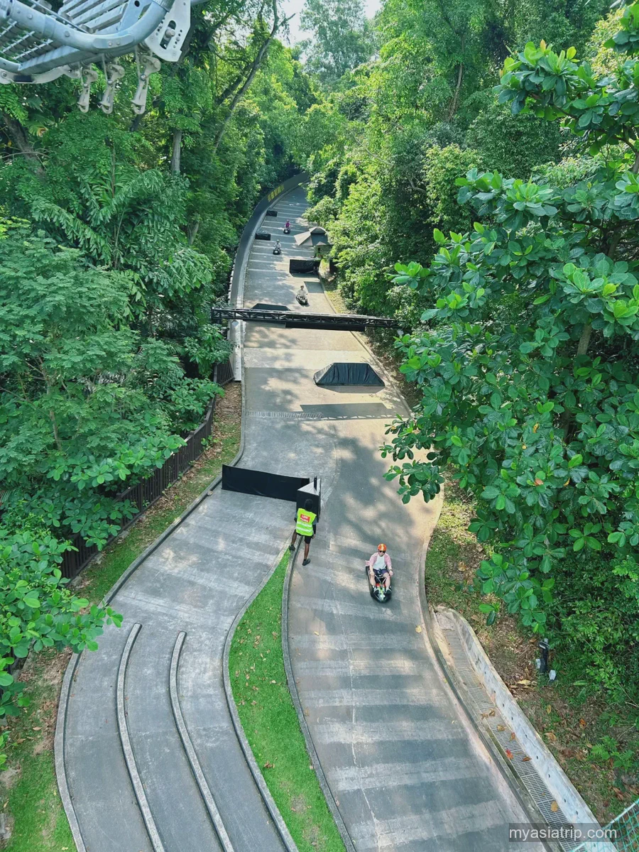 Skyline Luge track on Sentosa