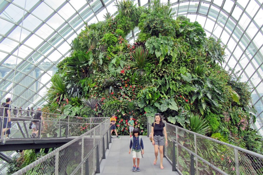 A family walking outdoors during a Singapore trip