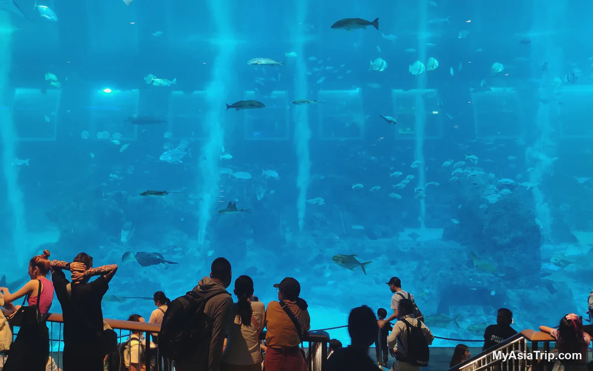 Singapore Oceanarium Guide 2026: Tickets, Highlights and Visit Plan