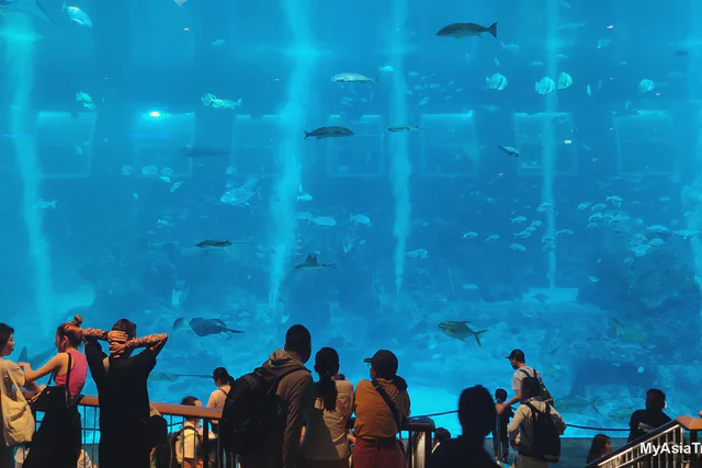 Visitors in front of a large marine viewing window at the former S.E.A. Aquarium
