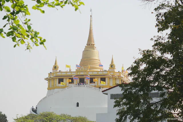 Golden stupa and white base of Wat Saket framed by trees in daylight